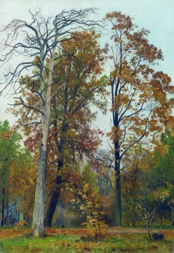  classique - automne 1894 paysage classique Ivan Ivanovitch arbres